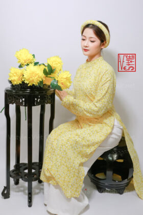 Thuê việt phục áo tấc áo ngũ thân tay chẽn hoa nhí vstyle B65