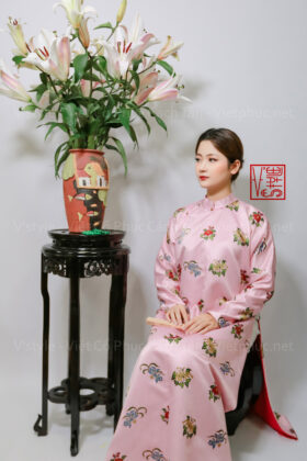 Thuê nhật bình việt phục áo tấc hà nội Vstyle tay chẽn hồng tafta in giả dệt G21